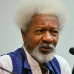 Wole Soyinka: Labour Party lost elections, wanted to force lies on Nigerians (VIDEO)