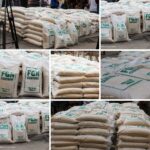 Customs Sells 25kg Rice at Discounted Price of N10,000 in Lagos