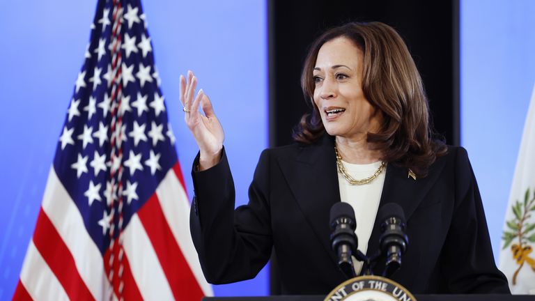 Joe Biden endorses Kamala Harris for US presidential election