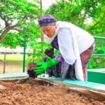 Nigeria’s First Lady, Oluremi Tinubu Unveils Her Small  Private Vegetable Garden In State House