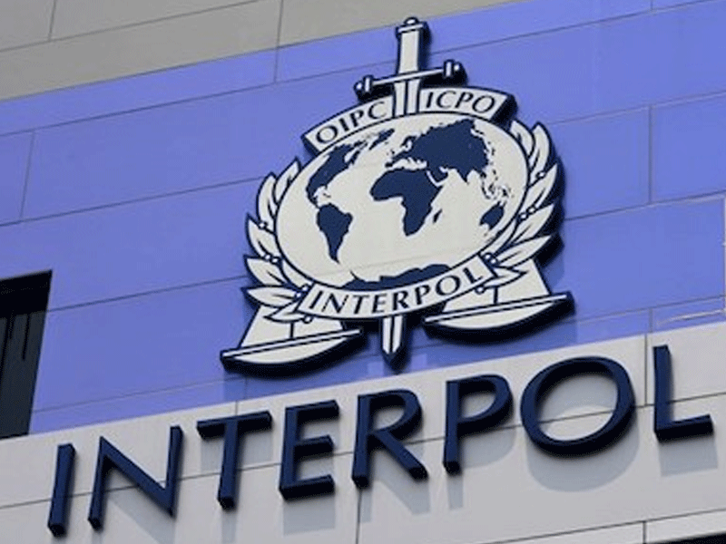 INTERPOL reveals how hundreds of thousands of Dollars leaves Nigeria every hour