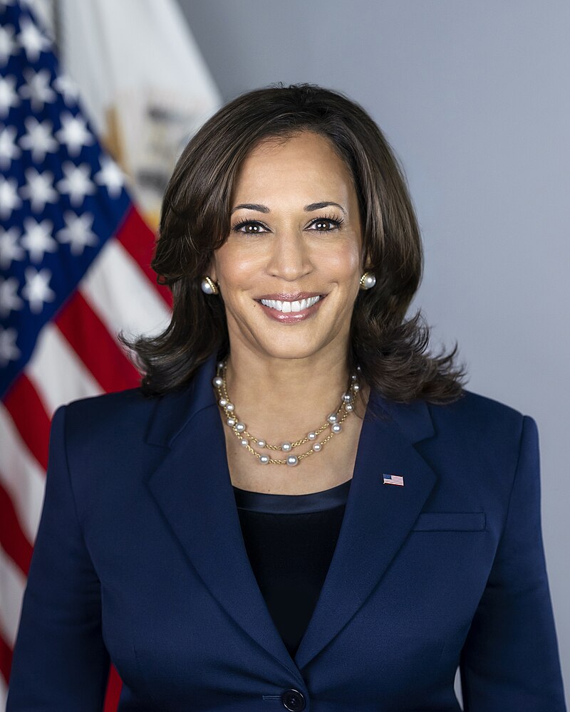 Kamala Harris secures Democrat Presidential ticket