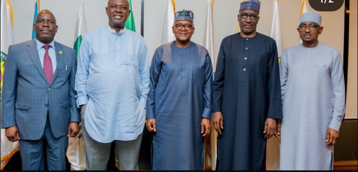 JUST IN: FG Moves To Reunite Dangote With Regulators