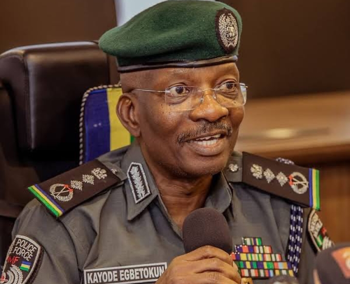 Foreign mercenaries recruited to hijack planned protest, cause damage – IGP