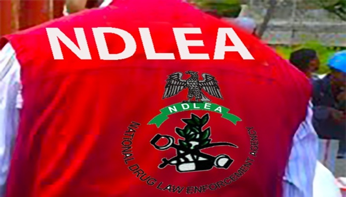 NDLEA Commandant Proposes Mandatory Drug Tests for New University Students