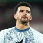 Tottenham Hotspur Agrees to £65m Deal with Bournemouth for Striker Dominic Solanke