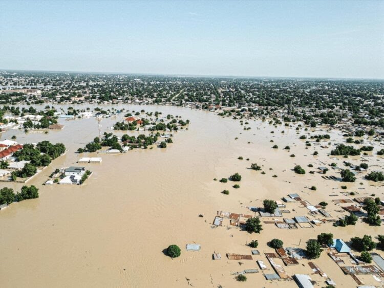 Borno flood: One million persons affected, 414,000 displaced