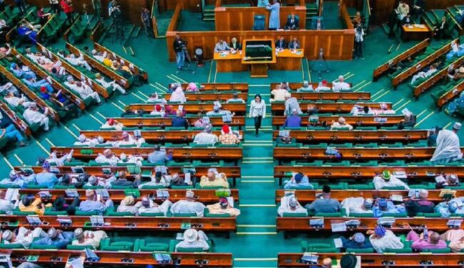 House of Representatives Moves to Establish Bola Ahmed Tinubu Federal University of Nigerian Languages