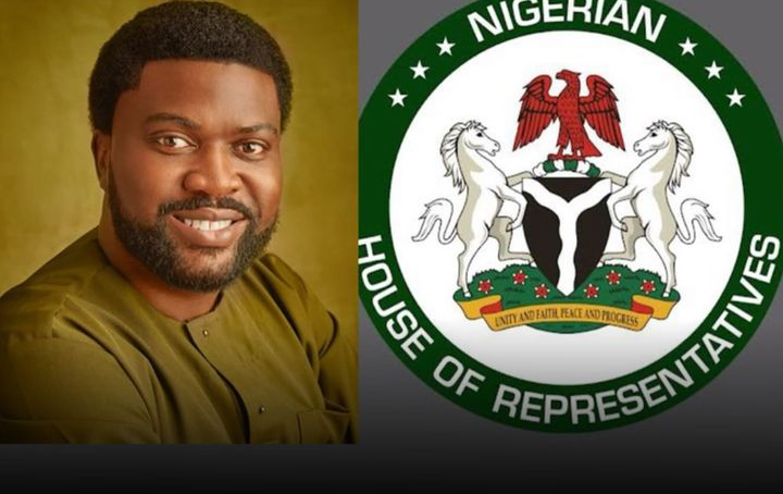 House Of Reps Pushes For Independent Candidacy In Nigerian Elections