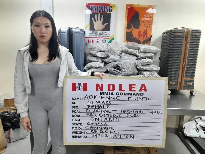 Canadian Woman Arrested at Lagos Airport for Trafficking Synthetic Cannabis