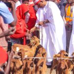 Kano Governor Distributes 7,158 Goats to Women In Second Phase Of Livestock Fattening Programme