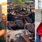 Cubana Chiefpriest Gifts 47 Cows for Friend’s Mother’s Burial Amid Feud With Burna Boy